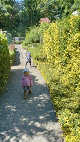 Rundgang durch den Vogelpark